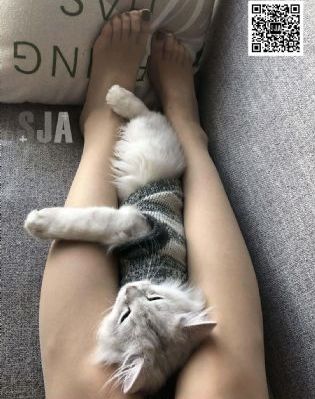 在线观看电视剧免费观看_BD英语神马在线观看