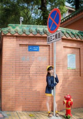 后宫动漫免费全集观看完整版高清_免费观看