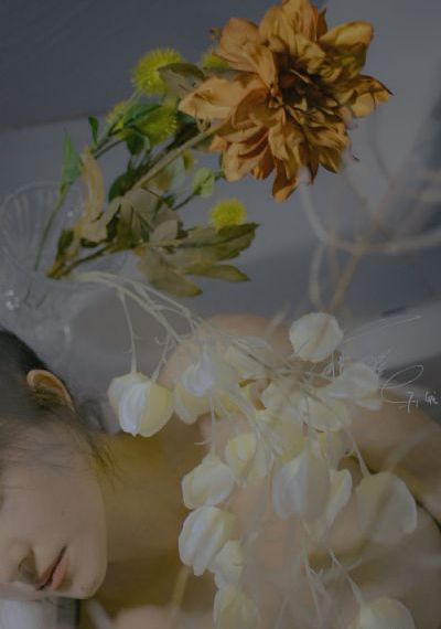《弓》电影在线观看免费版高清_HD神马影院在线